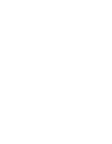 cerveau